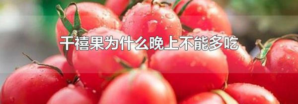 千禧果为什么晚上不能多吃