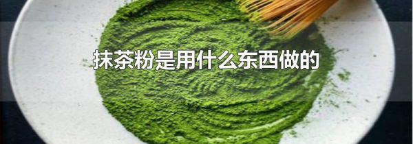 抹茶粉是用什么东西做的
