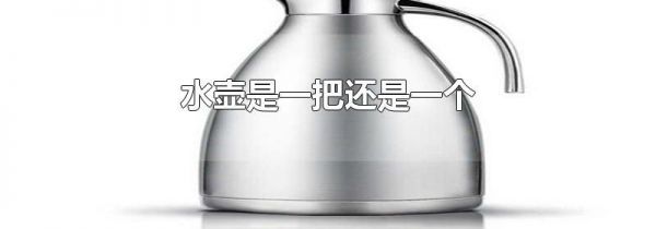 水壶是一把还是一个