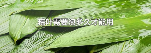 粽叶需要泡多久才能用