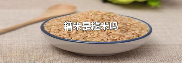 糟米是糙米吗