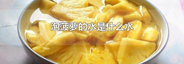泡菠萝的水是什么水