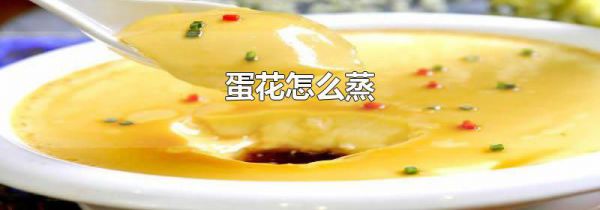 蛋花怎么蒸