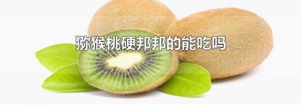 猕猴桃硬邦邦的能吃吗