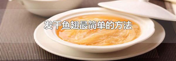 发干鱼翅最简单的方法