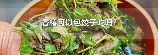香椿可以包饺子吃吗?