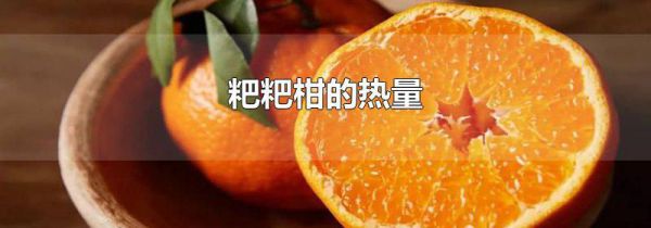 粑粑柑的热量