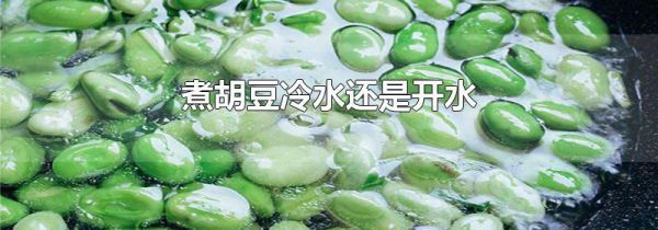 煮胡豆冷水还是开水