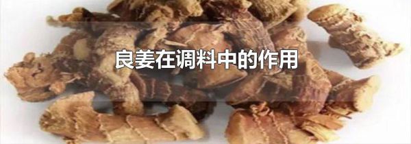 良姜在调料中的作用