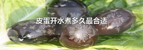 皮蛋开水煮多久最合适