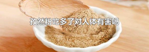 孜然粉吃多了对人体有害吗
