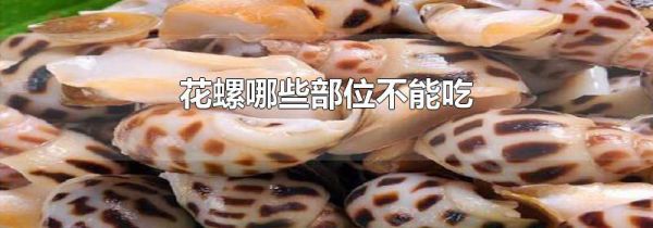 花螺哪些部位不能吃