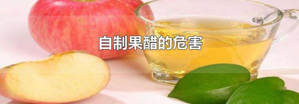 自制果醋的危害
