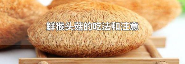 鲜猴头菇的吃法和注意