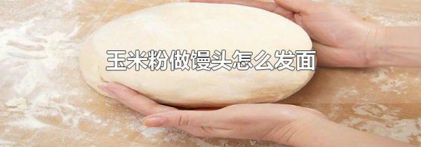 玉米粉做馒头怎么发面