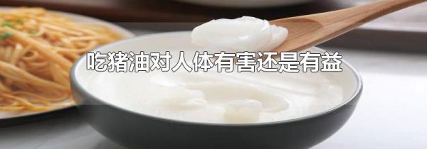 吃猪油对人体有害还是有益