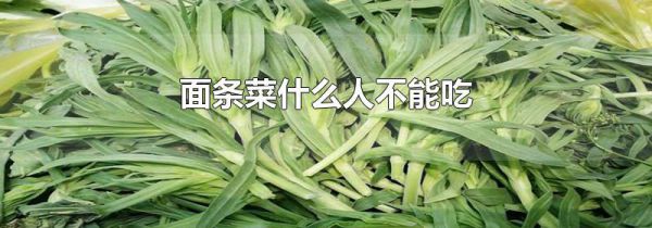 面条菜什么人不能吃
