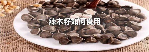 辣木籽如何食用