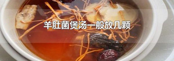 羊肚菌煲汤一般放几颗