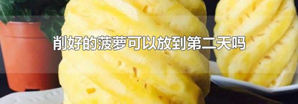 削好的菠萝可以放到第二天吗