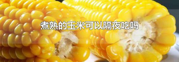 煮熟的玉米可以隔夜吃吗
