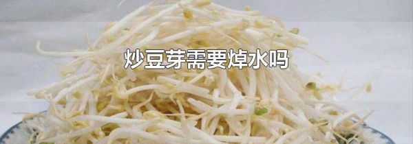 炒豆芽需要焯水吗