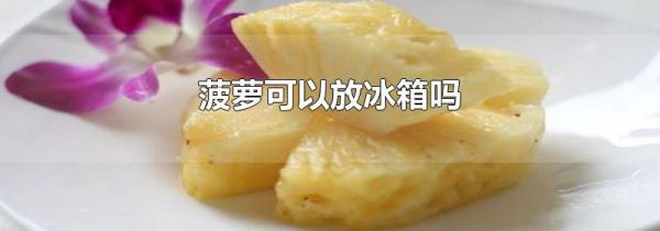 菠萝可以放冰箱吗
