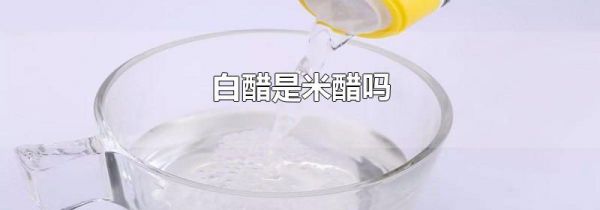 白醋是米醋吗