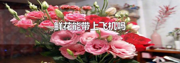 鲜花能带上飞机吗
