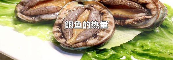 鲍鱼的热量