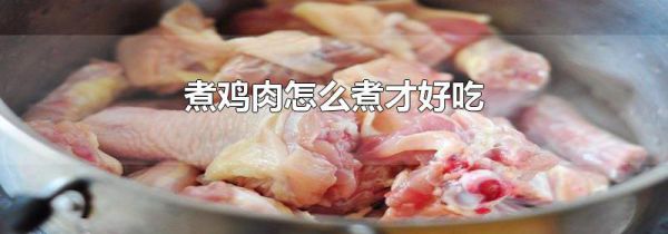 煮鸡肉怎么煮才好吃