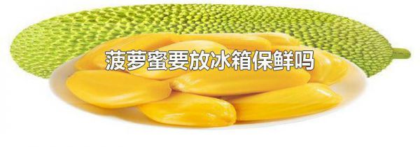 菠萝蜜要放冰箱保鲜吗