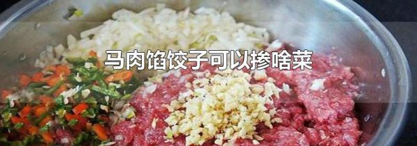 马肉馅饺子可以掺啥菜