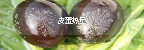 皮蛋热量