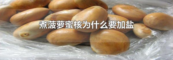 煮菠萝蜜核为什么要加盐