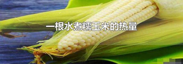 一根水煮糯玉米的热量