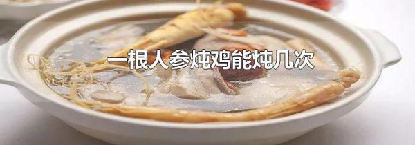 一根人参炖鸡能炖几次