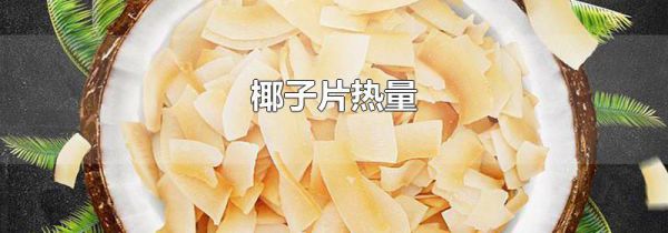 椰子片热量