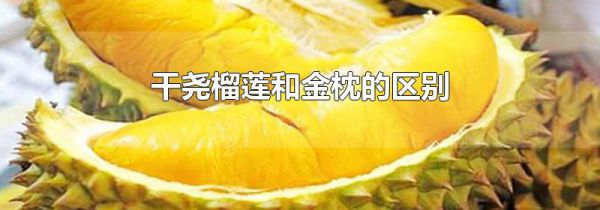 干尧榴莲和金枕的区别