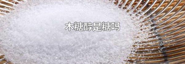 木糖醇是糖吗