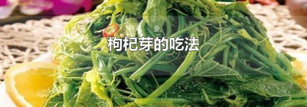 枸杞芽的吃法