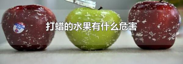 打蜡的水果有什么危害