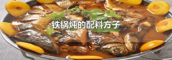 铁锅炖的配料方子
