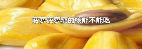 菠萝菠萝蜜的核能不能吃