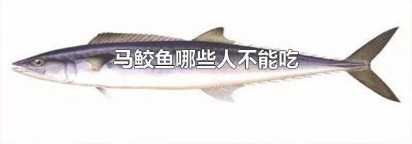 马鲛鱼哪些人不能吃