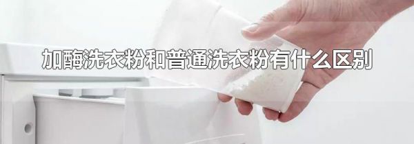 加酶洗衣粉和普通洗衣粉有什么区别
