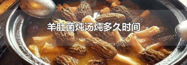 羊肚菌炖汤炖多久时间