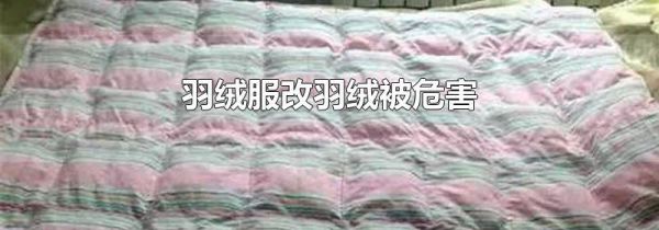 羽绒服改羽绒被危害