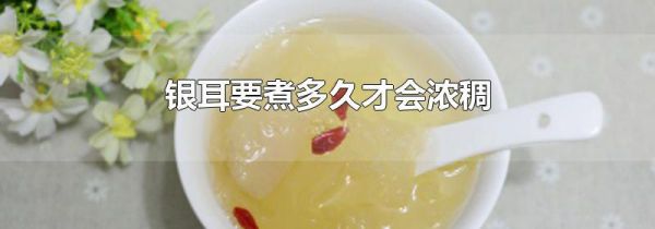 银耳要煮多久才会浓稠