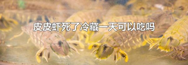 皮皮虾死了冷藏一天可以吃吗